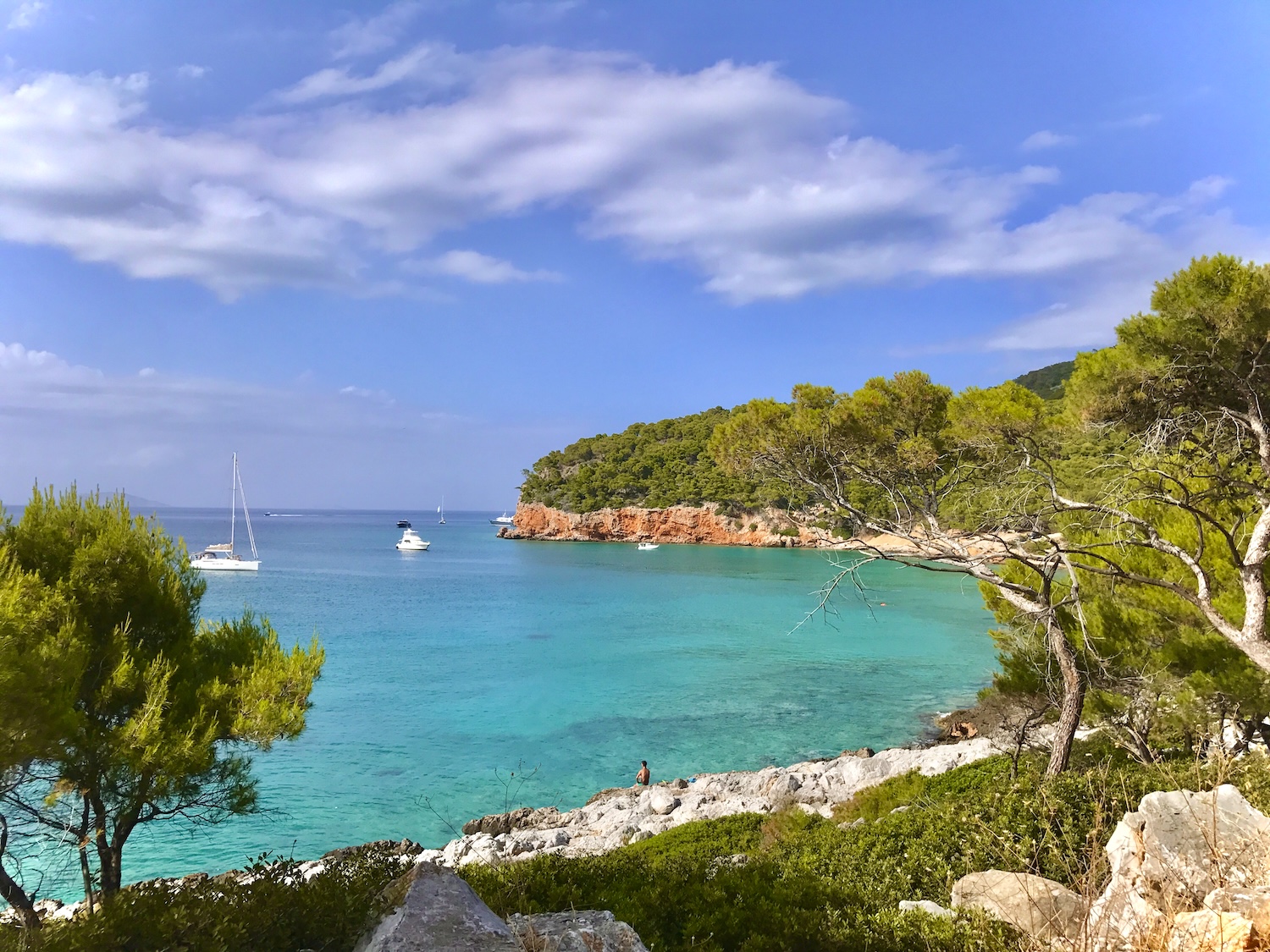 The green coastline of Agistri beside the Saronic Gulf